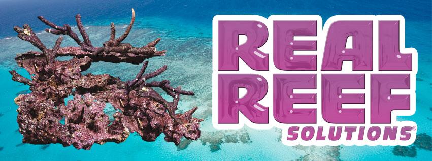 real reef rock banner5